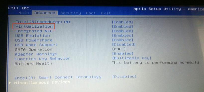 深入了解Dell（发现Dell电脑的最佳性能——详细教程与实用技巧）-第1张图片-数码深度