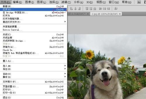 免费的PS初学者基础教程（解析Photoshop的基本工具和操作步骤，让你快速入门）-第1张图片-数码深度