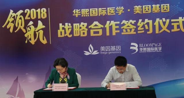 探索基因美因的奥秘（基因美因）-第1张图片-数码深度