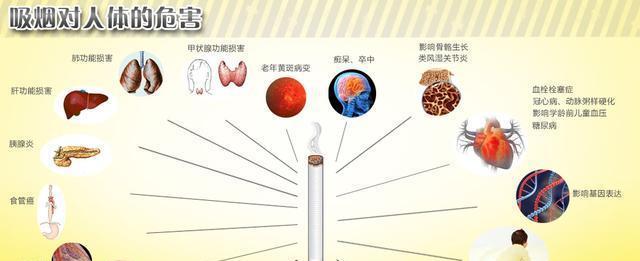 科学戒烟的方法和技巧（有效戒烟的科学指南）-第2张图片-数码深度