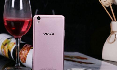 R9拍照效果解析（OppoR9手机拍照效果如何？一图胜千言，让照片更有灵魂！）-第3张图片-数码深度