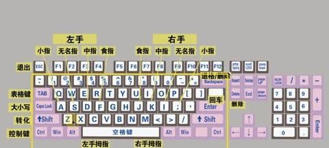 快速学会电脑基础知识的方法与技巧（掌握计算机基础，让你在数字时代游刃有余）-第1张图片-数码深度