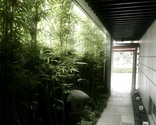 魔光球V600（探索多样化光影艺术，释放你的创造力）-第1张图片-数码深度