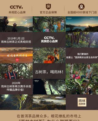 雨林一键安装系统（以雨林一键安装系统为例，详解如何快速完成系统的安装与配置）-第2张图片-数码深度