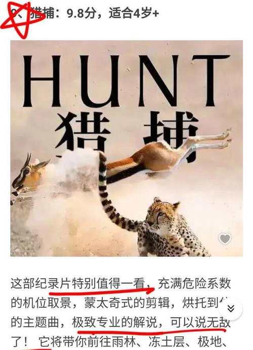 雨林一键安装系统（以雨林一键安装系统为例，详解如何快速完成系统的安装与配置）-第3张图片-数码深度