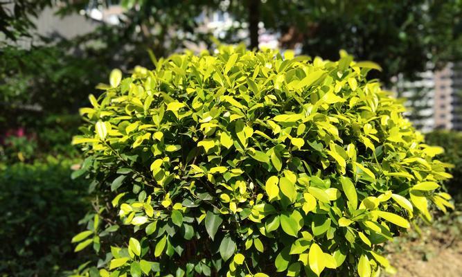 360N6Pro-第3张图片-数码深度