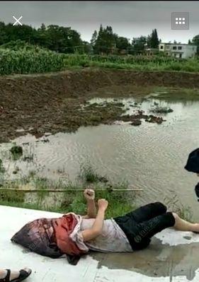 触电危险！如何避免被电死？（电流的伤害程度和安全预防措施）-第3张图片-数码深度