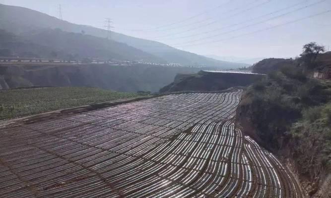以驿卓数码回收（专注于环保的数码产品回收，以驿卓让你的旧设备再生有价值）-第1张图片-数码深度