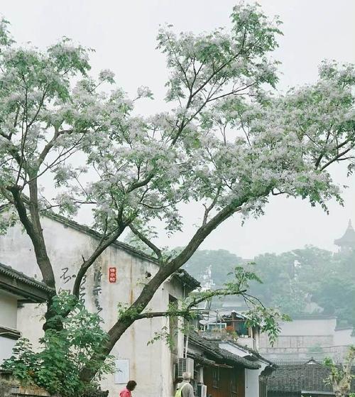 屏客修手机（一键修手机，让你的手机焕然一新）-第3张图片-数码深度