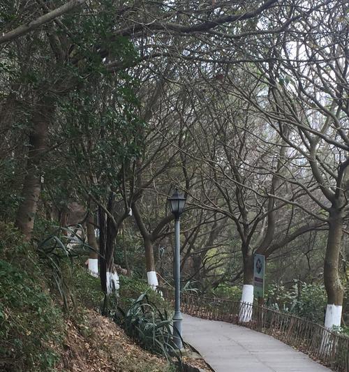 探索泉州苹果公园的魅力（一场与自然和谐共舞的奇妙之旅）-第3张图片-数码深度