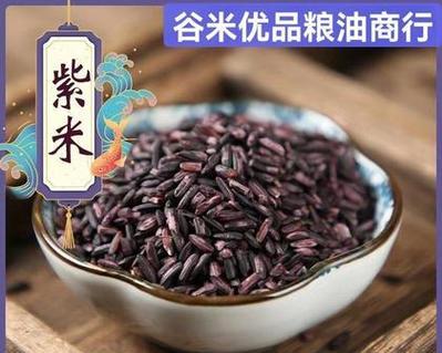 紫米10号手机性能全面评测（颠覆认知，掌握未来）-第2张图片-数码深度