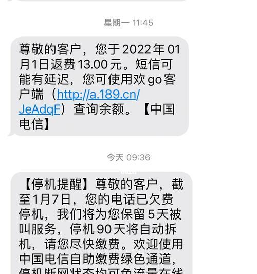 电信电话欠费的后果及解决方法（电信电话欠费，您可能面临的困扰和应对之道）-第3张图片-数码深度