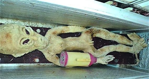 电死人的原因及预防方法（电击事故防范与安全意识的重要性）-第2张图片-数码深度