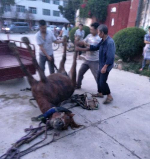 电死人的原因及预防方法（电击事故防范与安全意识的重要性）-第3张图片-数码深度