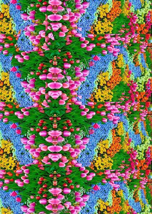 以观V5裸眼3D手机——颠覆传统视觉体验（画面细腻逼真，独特裸眼3D技术让你身临其境）-第3张图片-数码深度