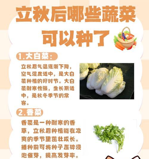 以大白菜制作ISO教程（如何利用大白菜制作自己的ISO文件）-第1张图片-数码深度