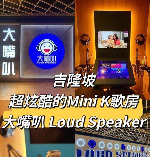 迷你KTV（独特体验）-第2张图片-数码深度