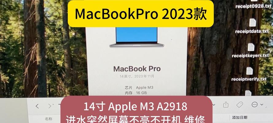 电脑黑屏不显示桌面解决办法大全（轻松应对电脑黑屏，找回丢失的桌面）-第3张图片-数码深度