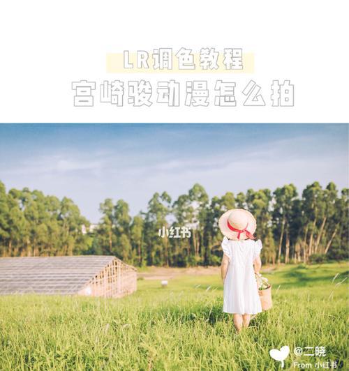 用LR调色打造宫崎骏般的电脑壁纸（学习如何使用LR软件制作唯美梦幻的宫崎骏风格壁纸）-第1张图片-数码深度