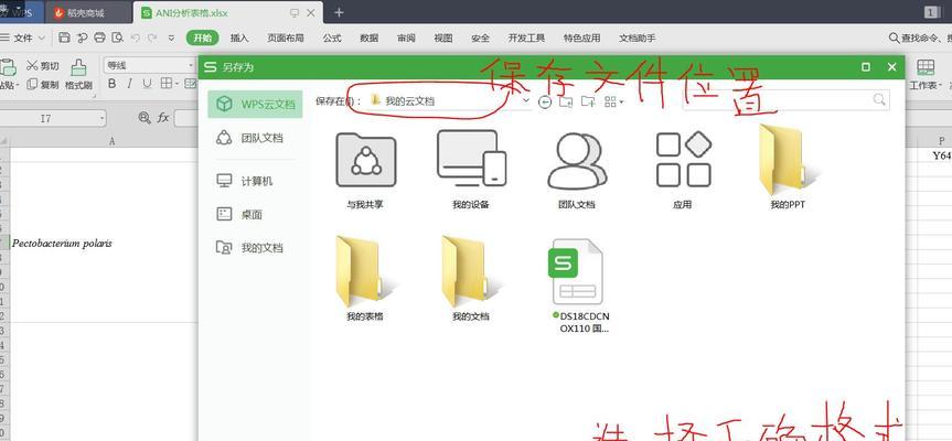 解决XP电脑页面脚本错误的方法（解决XP电脑页面脚本错误的实用指南）-第3张图片-数码深度