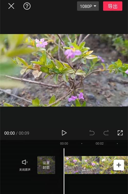 用电脑制作滚动字幕，轻松告白（电脑告白滚动字幕教程，让你表达爱意更有创意）-第2张图片-数码深度
