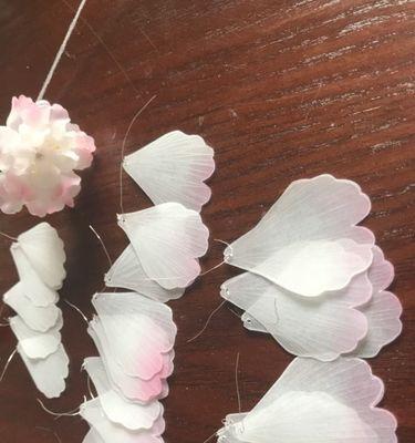用电脑制作樱花学校的教程（轻松学会用电脑制作樱花学校的教程）-第1张图片-数码深度