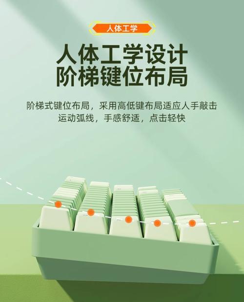 如何使用Bow电脑蓝牙键盘（简明易懂的教程及常见问题解答）-第1张图片-数码深度