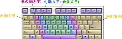 快速掌握电脑键盘记忆技巧（从零起步，轻松提升打字速度和效率）-第2张图片-数码深度