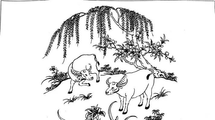 电脑制作白描稿子教程（用电脑轻松制作高质量白描稿子，轻松实现你的创意）-第1张图片-数码深度