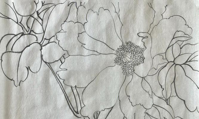 电脑制作白描稿子教程（用电脑轻松制作高质量白描稿子，轻松实现你的创意）-第3张图片-数码深度