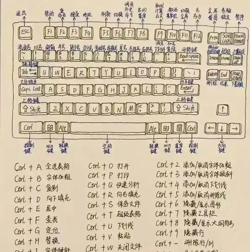 从零开始学习电脑键盘打字（轻松掌握电脑键盘打字技巧，提高工作效率）-第3张图片-数码深度